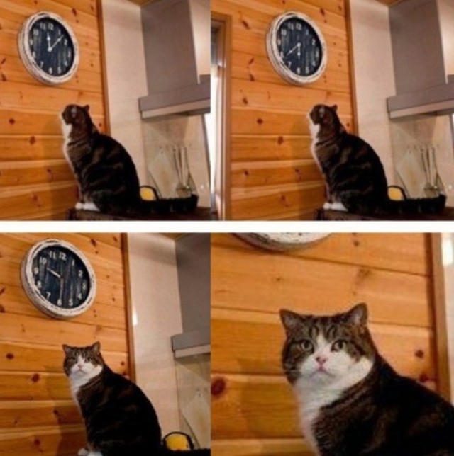 Верните мой 1999