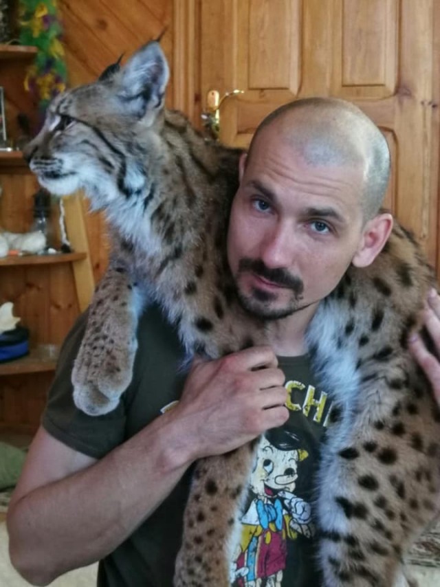 Наши коты