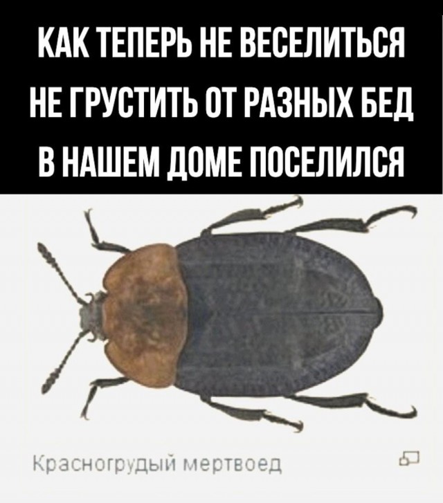 Отсутствие морально этических норм Vol.71