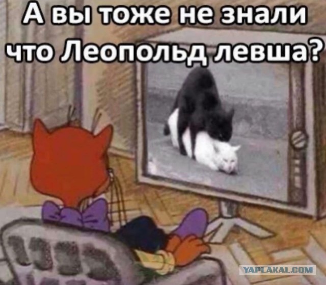 Мир отмечает День мастурбации