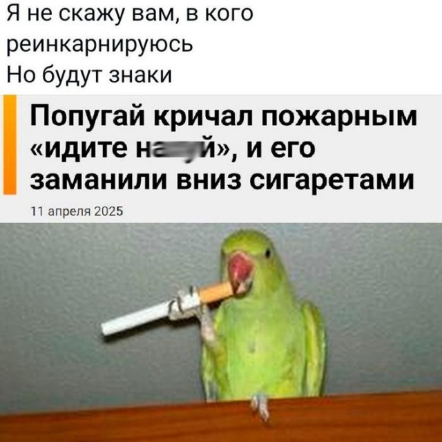 Картинки для деградации 218 (разной степени свежести)