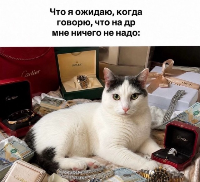 Веселое настроение в картинках 28.07.26