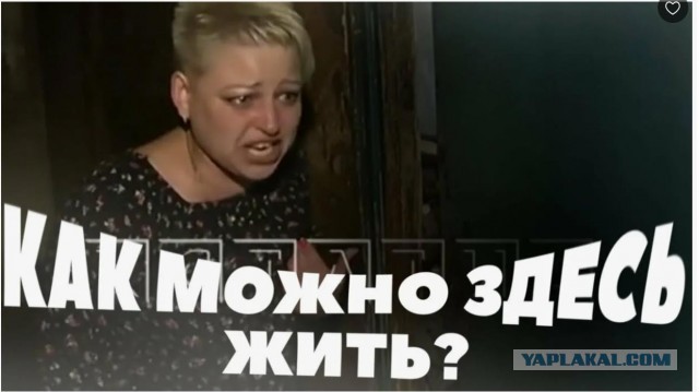 Анатоле «порно-сомелье»