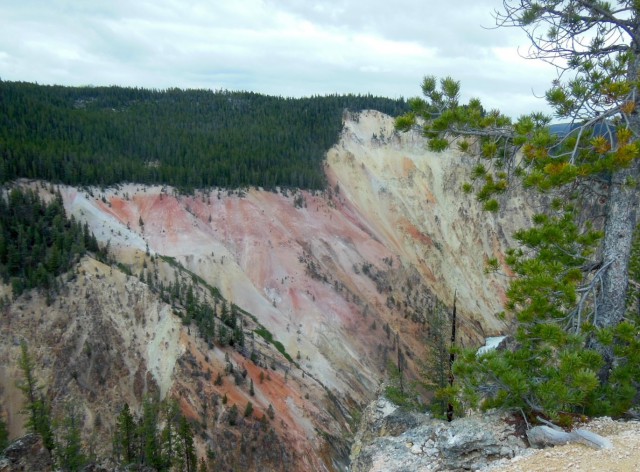 Деревенская Америка
