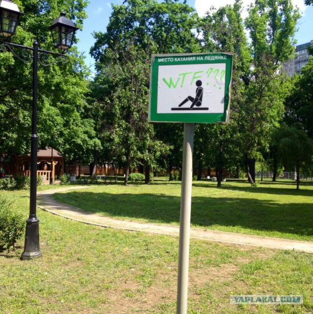 Немного позитива на пятницу