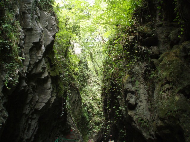 Puzzlewood - загадочный лес (19 фото)