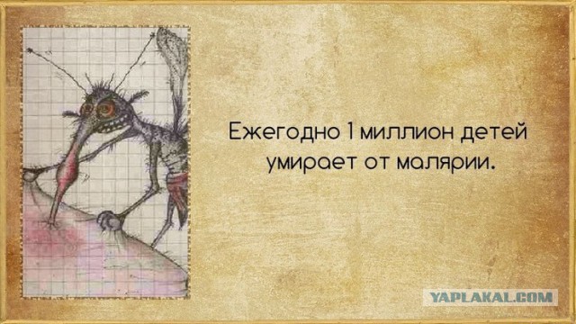 Факты в картинках