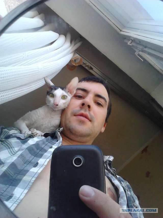 Котовторник
