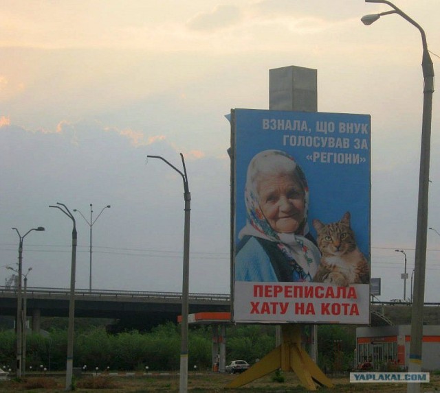 Предвыборный юмор по-украински (коте одобряет)