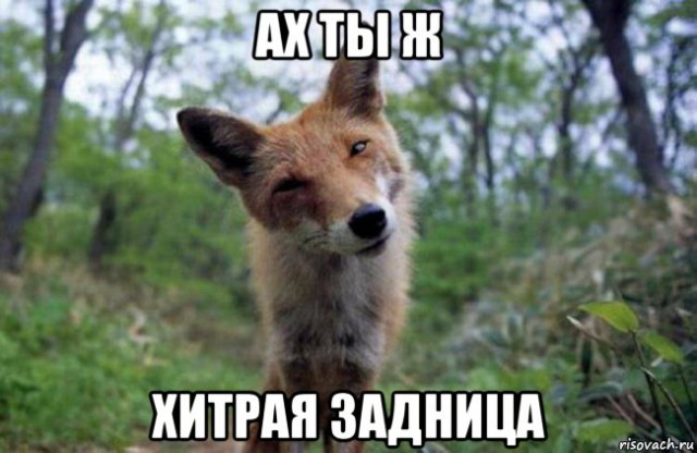 ЯП получил Премию Рунета 2015