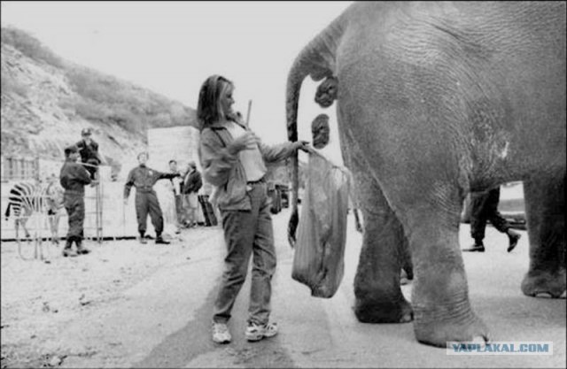 ТП в эфире Динамит ФМ