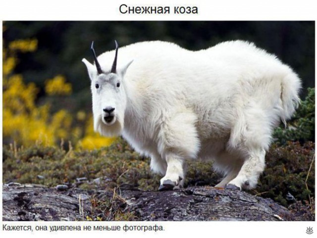 Подборка интересных и веселых картинок