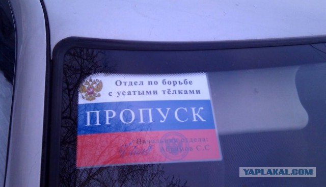 Немного лёгкой наркомании в картинках