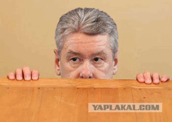Ёлкин — не в бровь, а в глаз