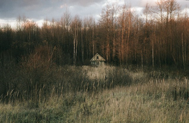 Подборка "тёплых, уютных, домашних" фотографий. Часть 3