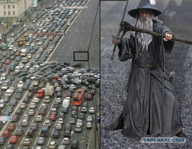 Откуда берутся пробки на дорогах