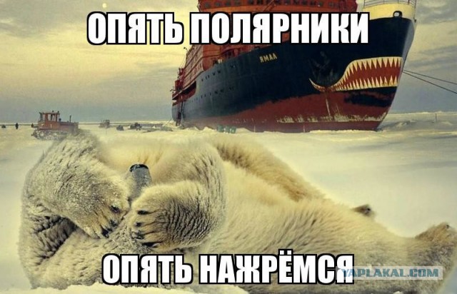 Картинки, интересные и веселые