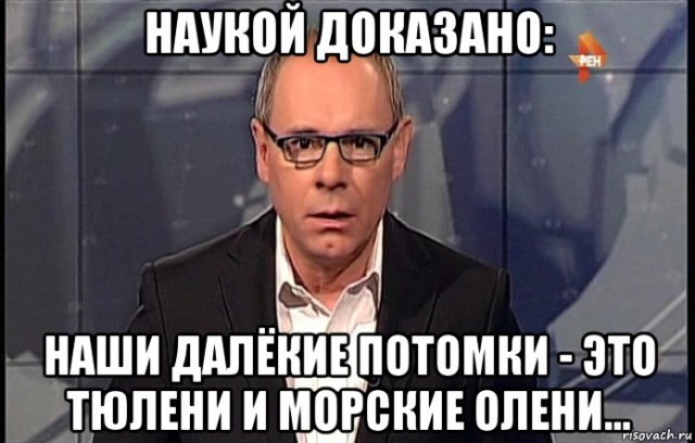 «Он был немного напуган»: тюлень прокатился на байдарках в Шотландии