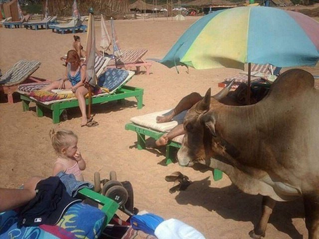 Наш пляж