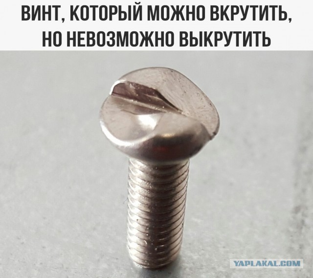 Картинки всякие для поднятия настроения