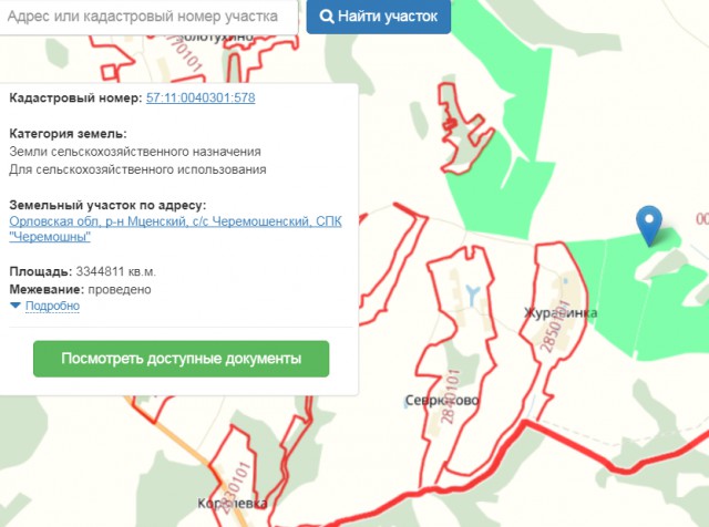 В орловской деревне брошенные старики хоронят умерших в корыте.