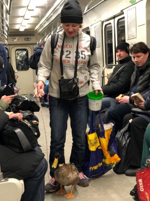 Модники жгут напалмом в метрополитене