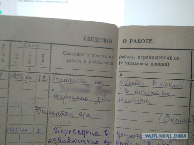 Сталинские артели. Частное предпринимательство в СССР