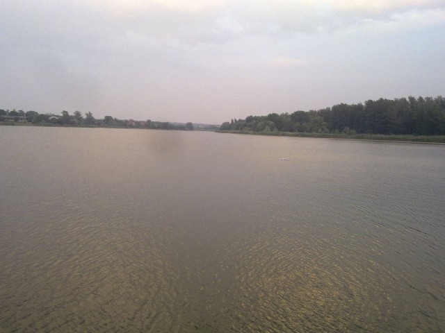 11 обычных вещей, за ввоз или вывоз которых в некоторых странах может не поздоровиться