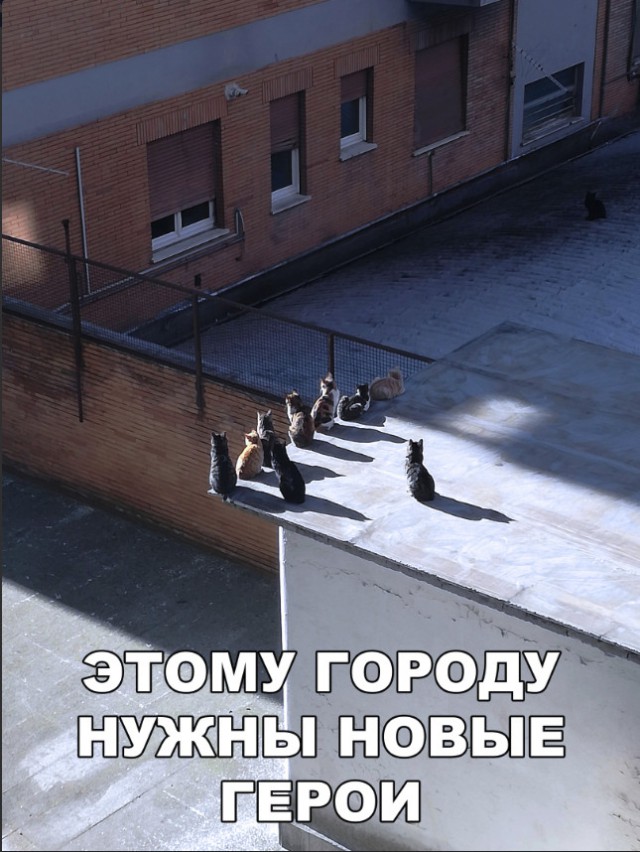 Нестандартный юмор