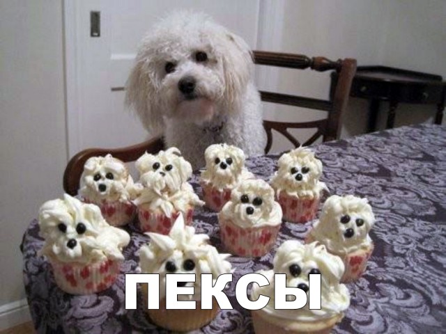 Милые животные. Мимиметр сломался