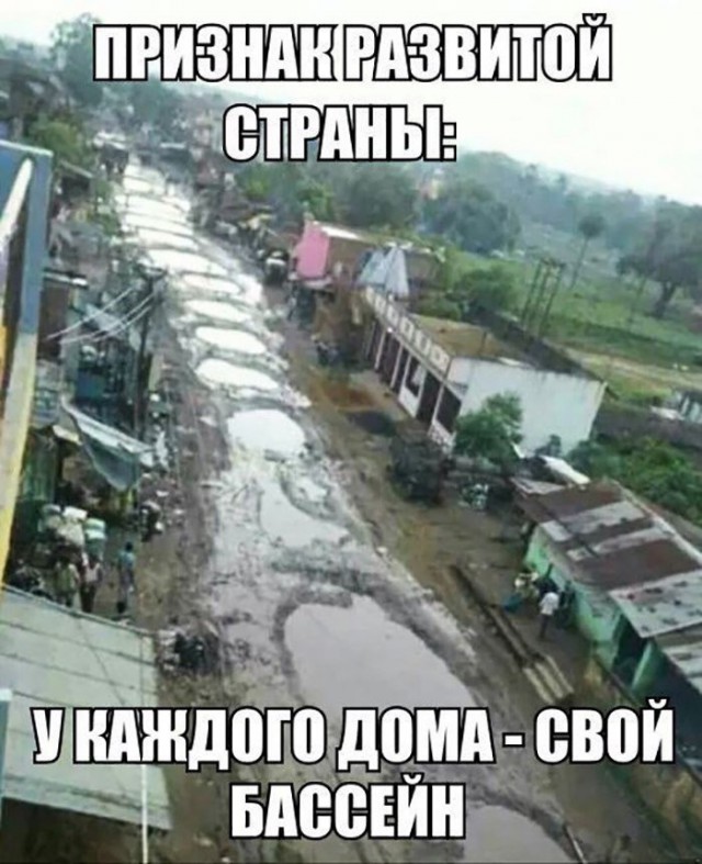 Лента прикольных картинок