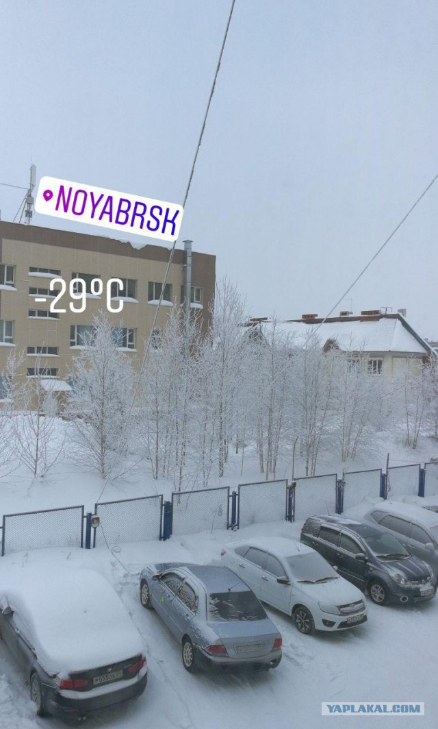 Север. Холодно. 2019