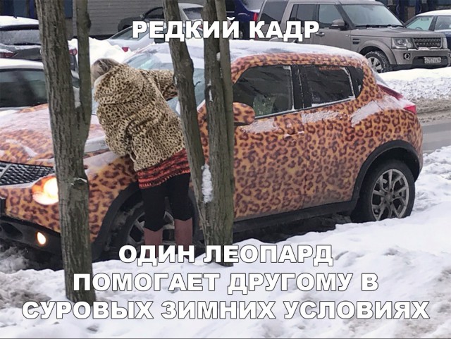 Прикольные картинки абавсём