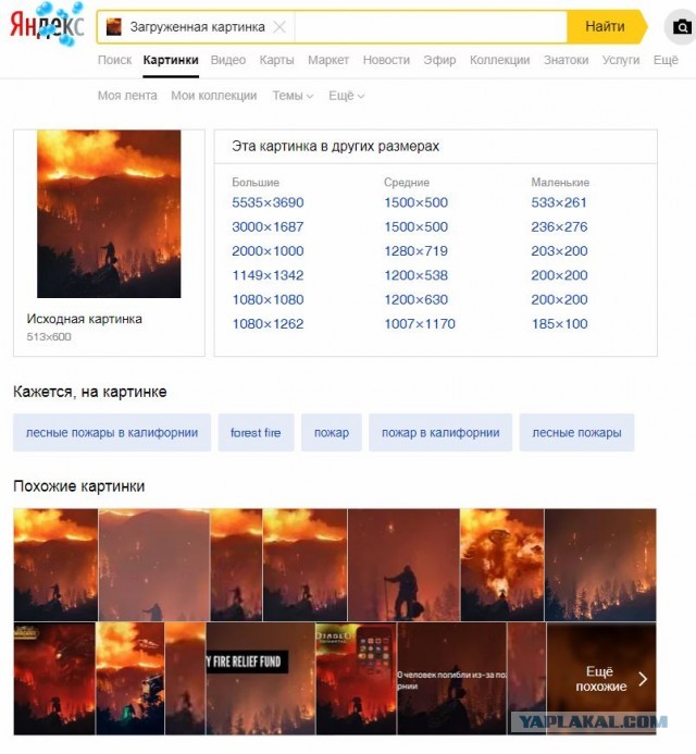 США раскрыли масштабы пожаров в России