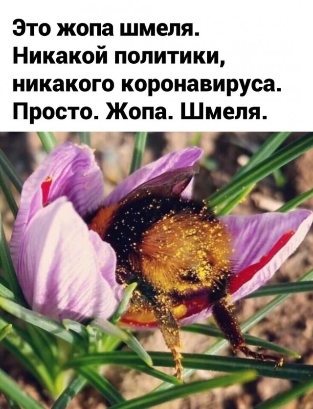 Бредзона 20.03.2020