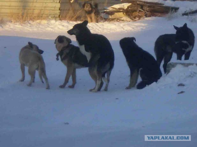 Блогерша раскрыла, как соблазняет мужчин с помощью своего запаха вагины