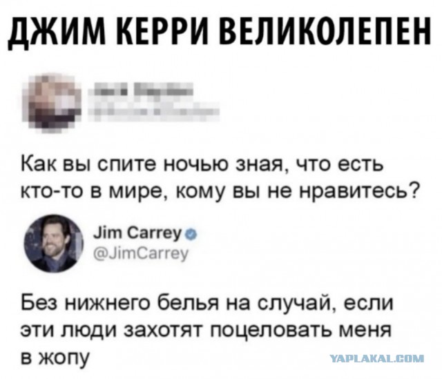 Картинки с надписями фразы и анекдоты
