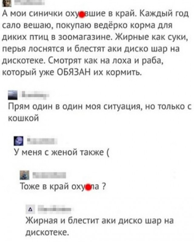 Бредзона 08.12.2020