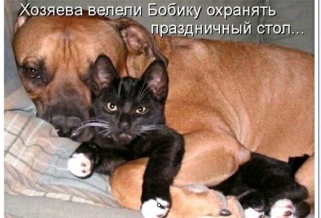 Картинки и мемы для настроения 023