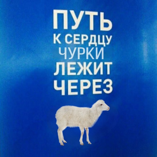Аморальная деградация