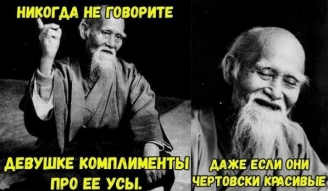 Возвращение к истокам