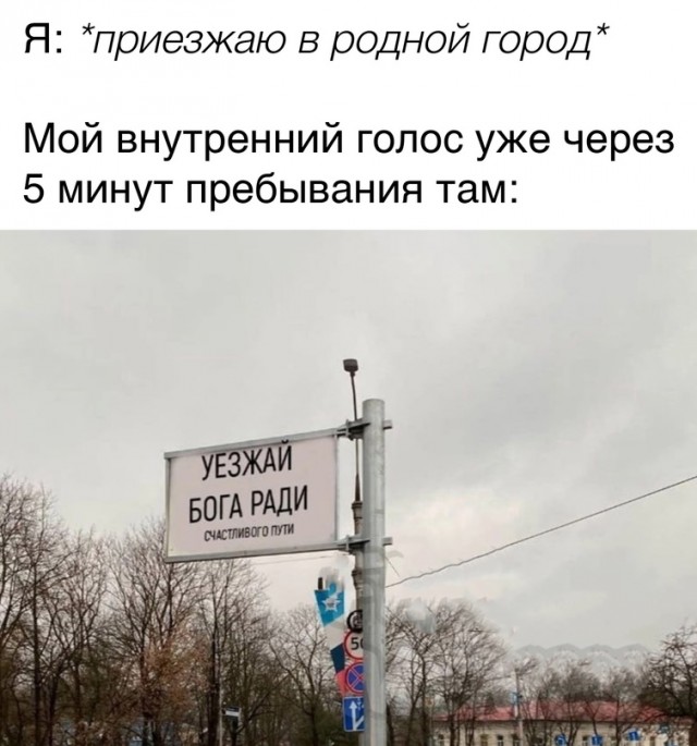 Весёлый полтишок 10.01