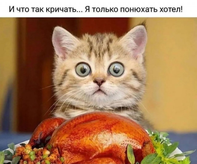 Немного картинок и прочей хреноты Vol. 10
