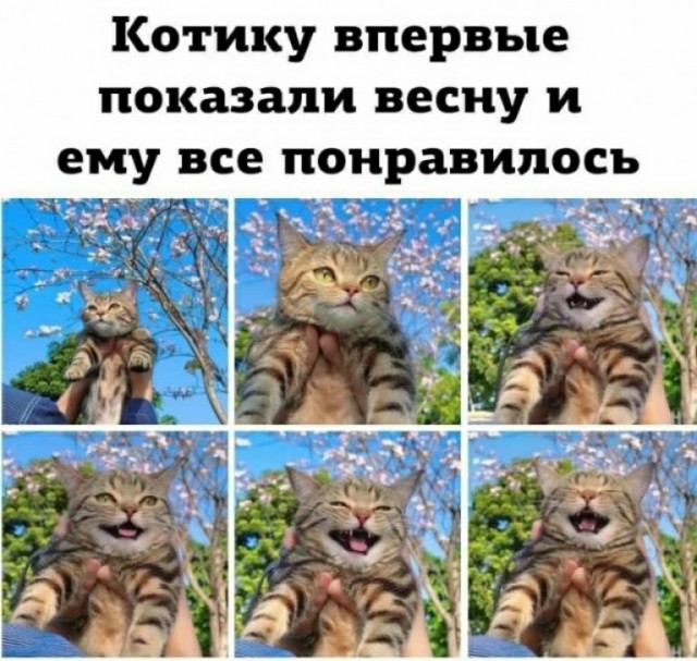 Максимум позитива, хоть и слегка колючего