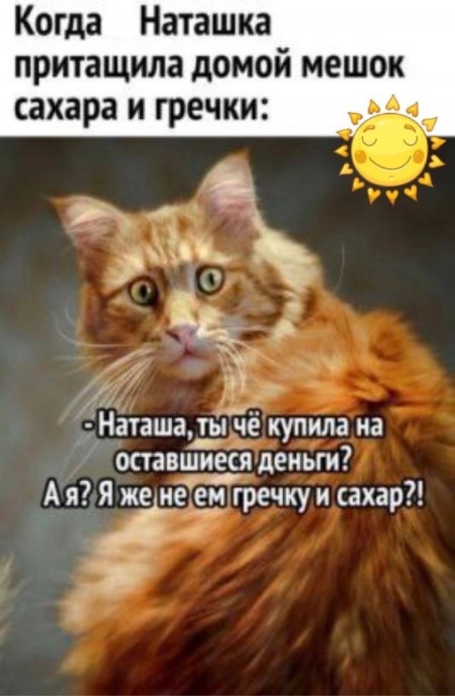 Пятничная Хня, для деградантов