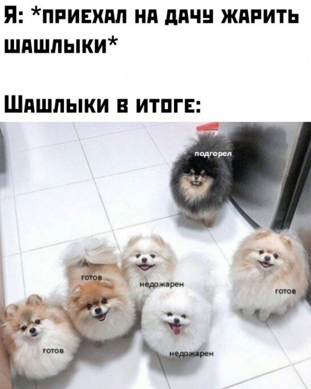 Так себе картинки 04.06.22