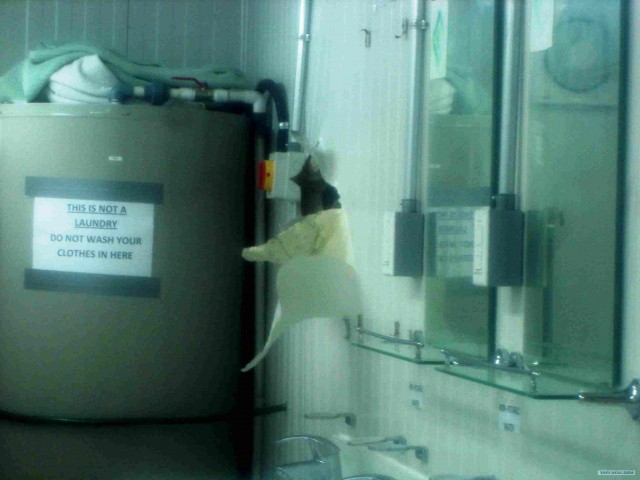 Афганистан 2012