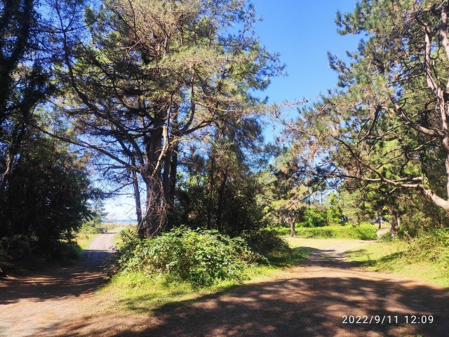 Мой Кавказ. Часть 2