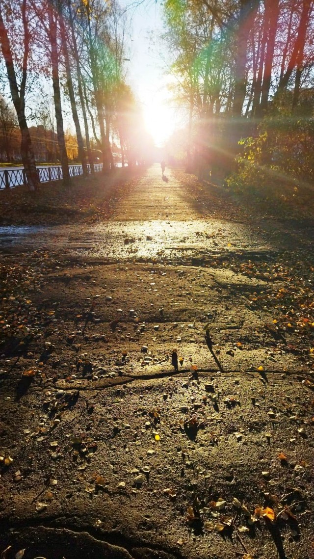 Моя мобильная фотография
