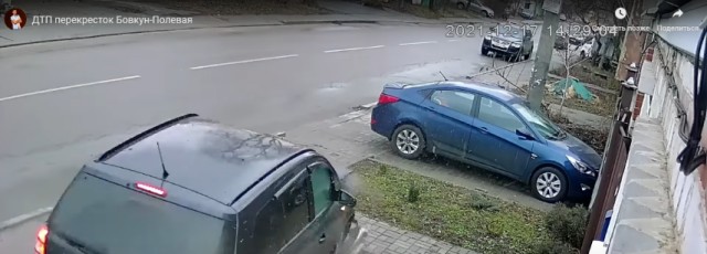 У березы шансов вырасти нет
